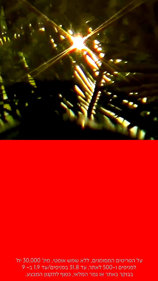 carolinalemkeberlin.il archive video preview