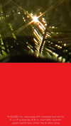carolinalemkeberlin.il Altpins Profile Picture