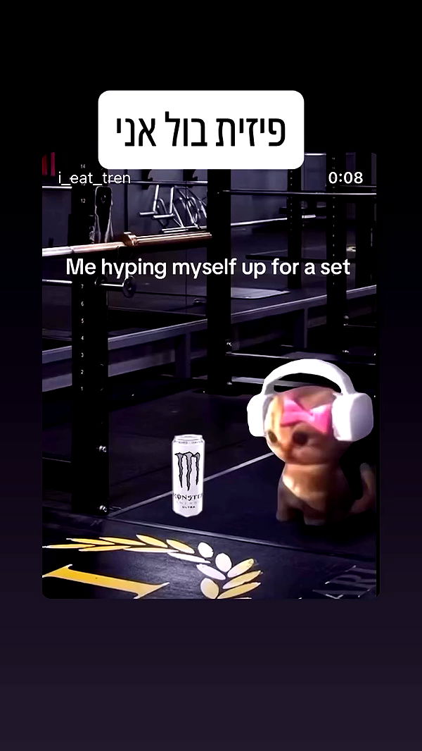 elianachetrit archive video preview