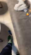 eitan.420 Altpins Profile Picture