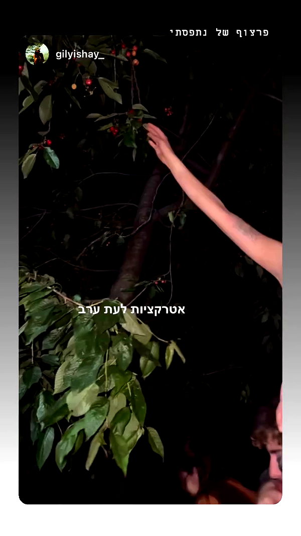 talya.fridland archive video preview