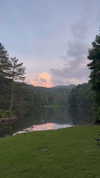 roni_ackerman Altpins Profile Picture