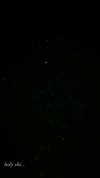 naivems_ Altpins Profile Picture