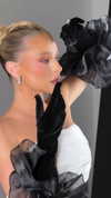 taylorcattanach Altpins Profile Picture