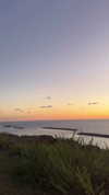 sonia_litvanchuk Altpins Profile Picture