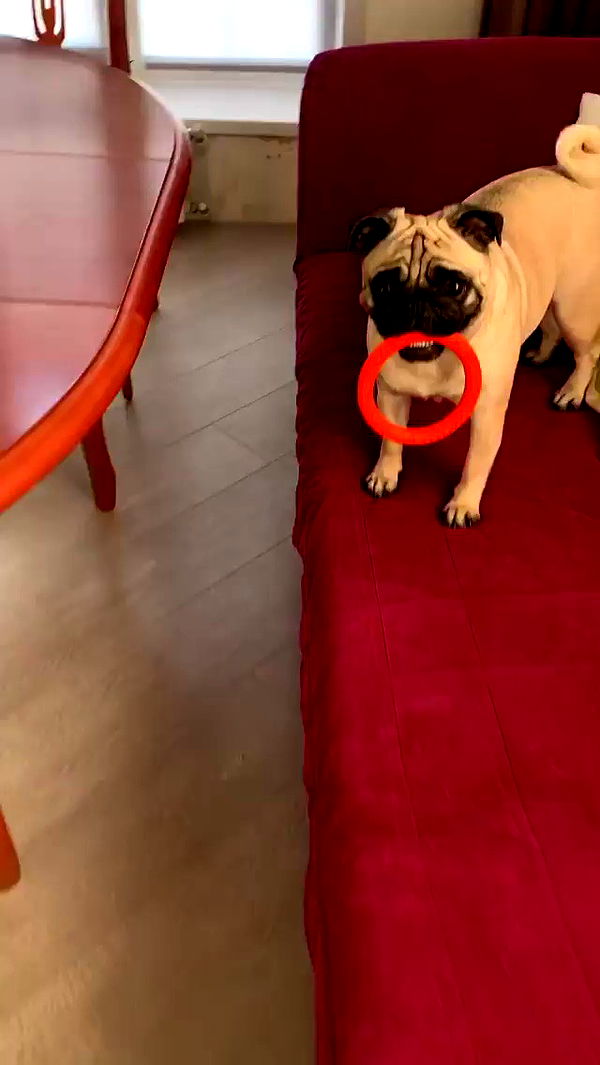 nyityam archive video preview