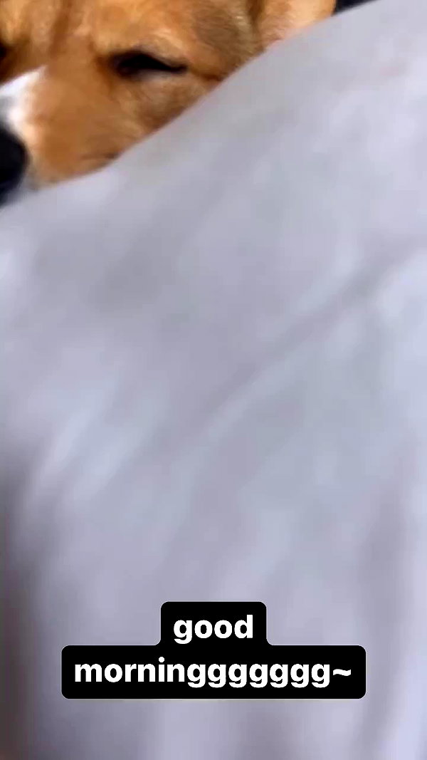 missbrisolo archive video preview