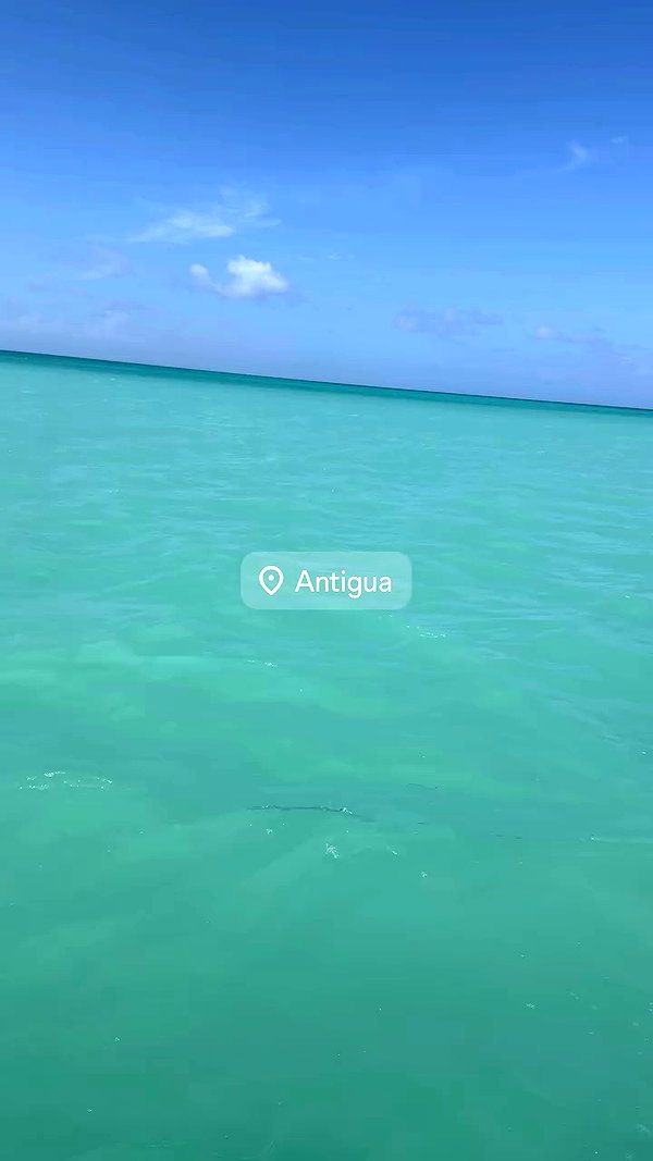 svgarbvnnies archive video preview