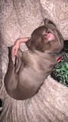 b6ylexx Altpins Profile Picture
