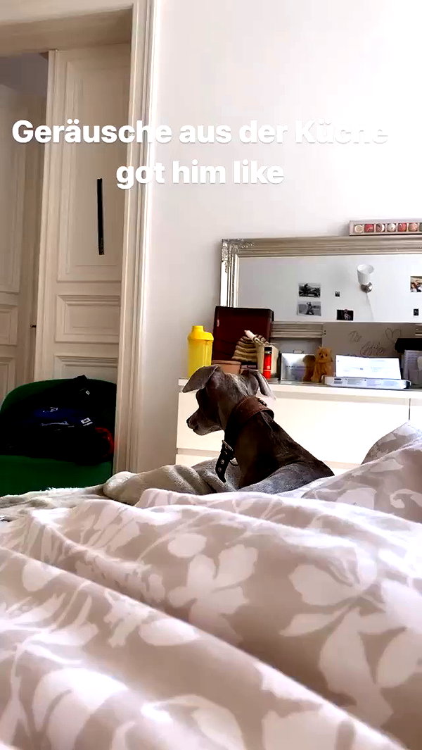 lilih archive video preview