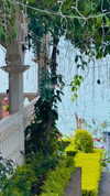 yuval.rene.pinto Altpins Profile Picture