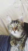 evasela__ Altpins Profile Picture