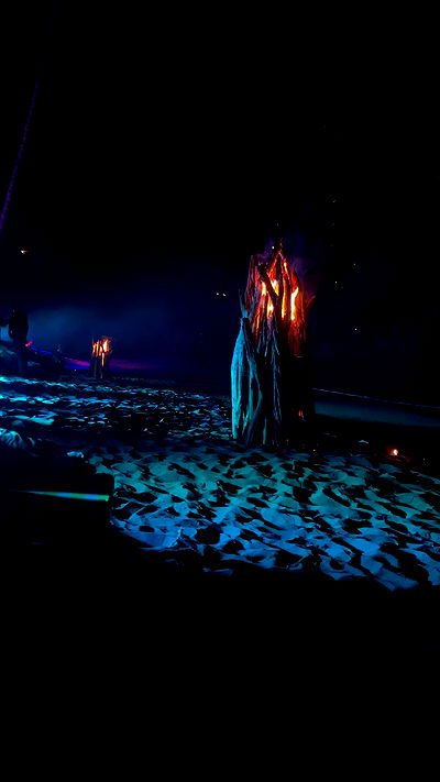 taylor.creeden taylor.creeden archive video