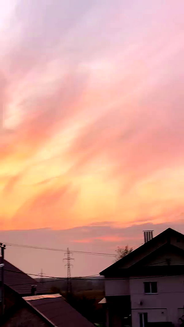 nyityam archive video preview