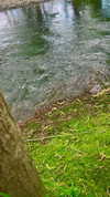 aleiisha.piixiie Altpins Profile Picture