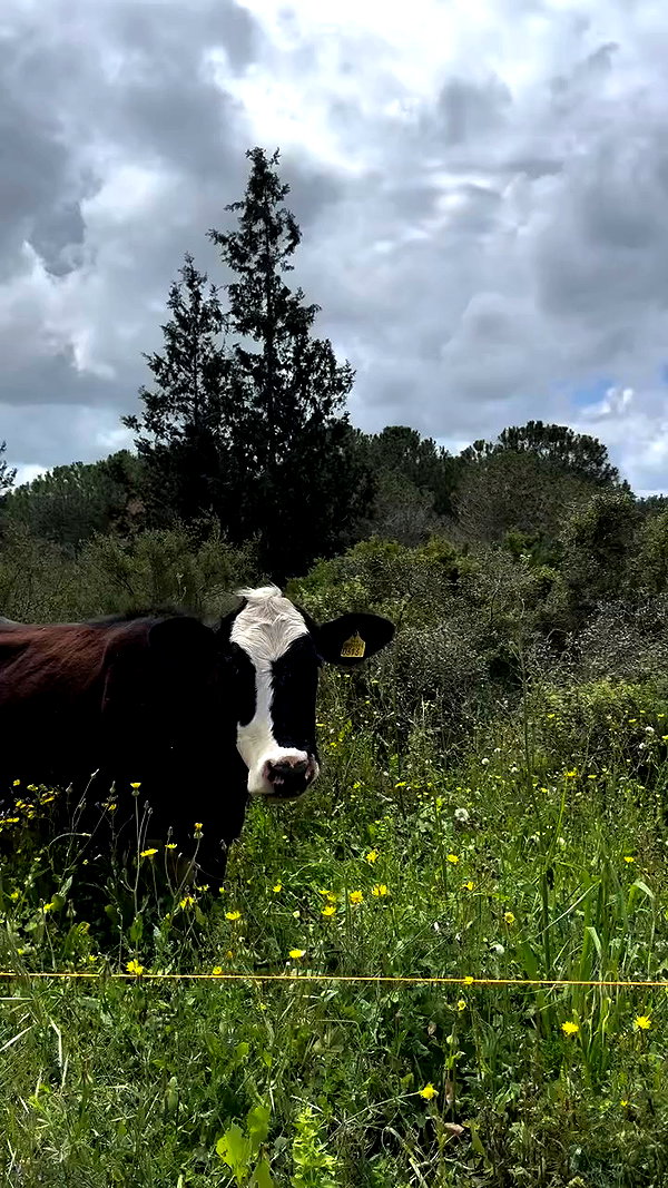 libby_reut archive video preview