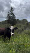 libby_reut Altpins Profile Picture
