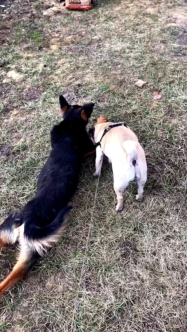 nyityam archive video preview