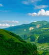 _mashachka_ Altpins Profile Picture