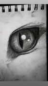 xliyush Altpins Profile Picture