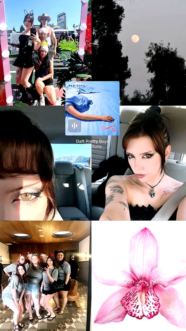 haileylayfield archive video preview