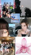 haileylayfield Altpins Profile Picture