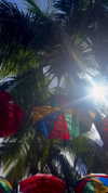 nina.kxs Altpins Profile Picture
