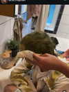 ek3b.chapman Altpins Profile Picture