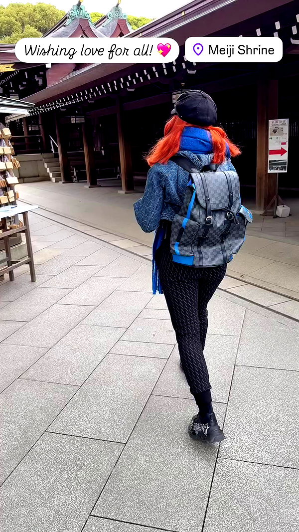 swfx_real archive video preview