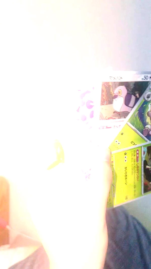 _littlerobin_ archive video preview