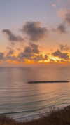 sonia_litvanchuk Altpins Profile Picture
