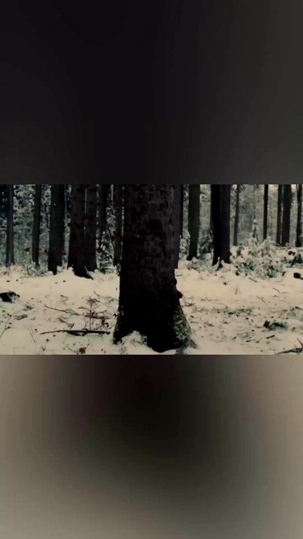 nicolekidman archive video preview