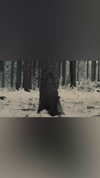 nicolekidman Altpins Profile Picture