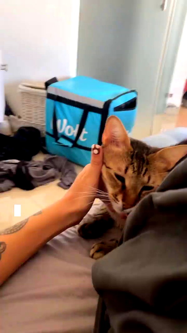 ronyida_ archive video preview