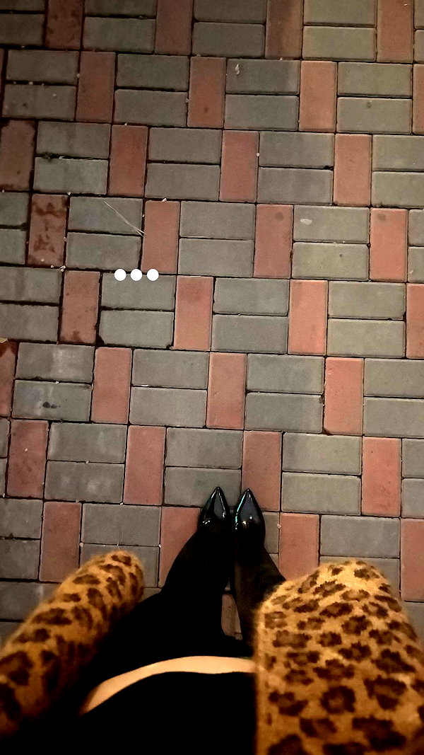 meow.mn2 archive video preview