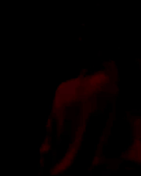lilbieber archive video preview
