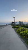 mishel_d_ Altpins Profile Picture