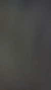 mileycyrus Altpins Profile Picture