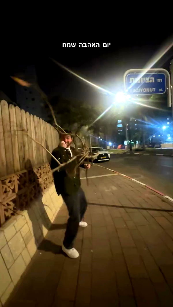 romy_ayalla_lavi archive video preview