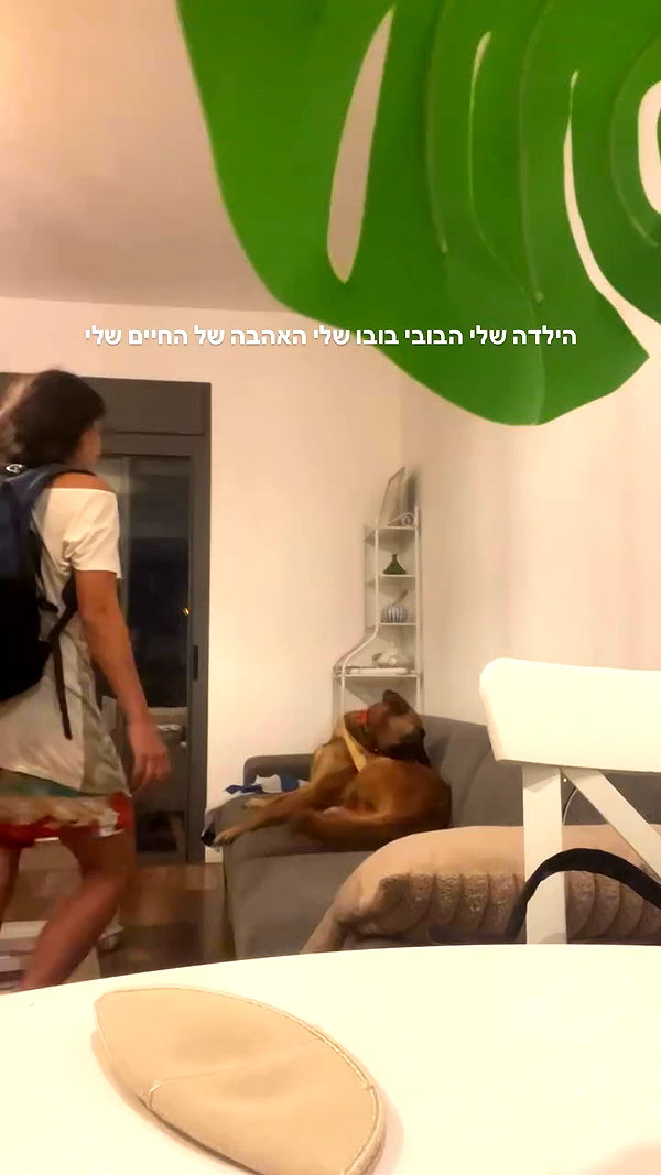 yuval_raz archive video preview