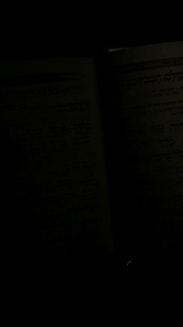 _._dianush._ archive video preview