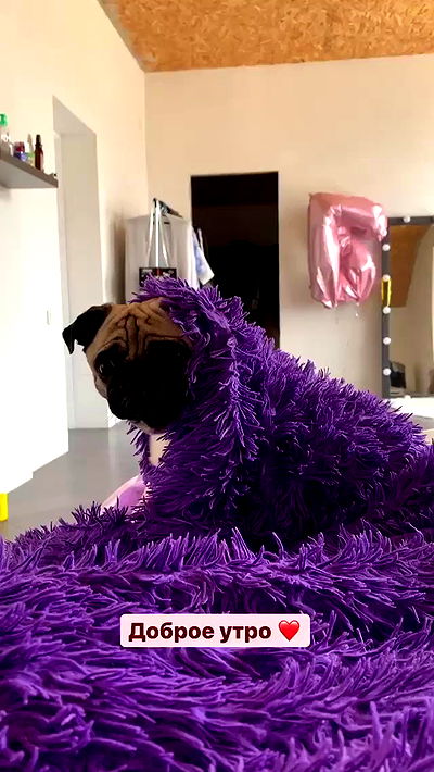 nyityam nyityam archive video