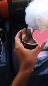 elizabethcampbelljones Altpins Profile Picture