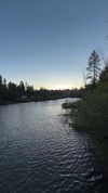 kaniiberry Altpins Profile Picture