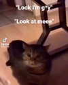 catl0verr69 Altpins Profile Picture