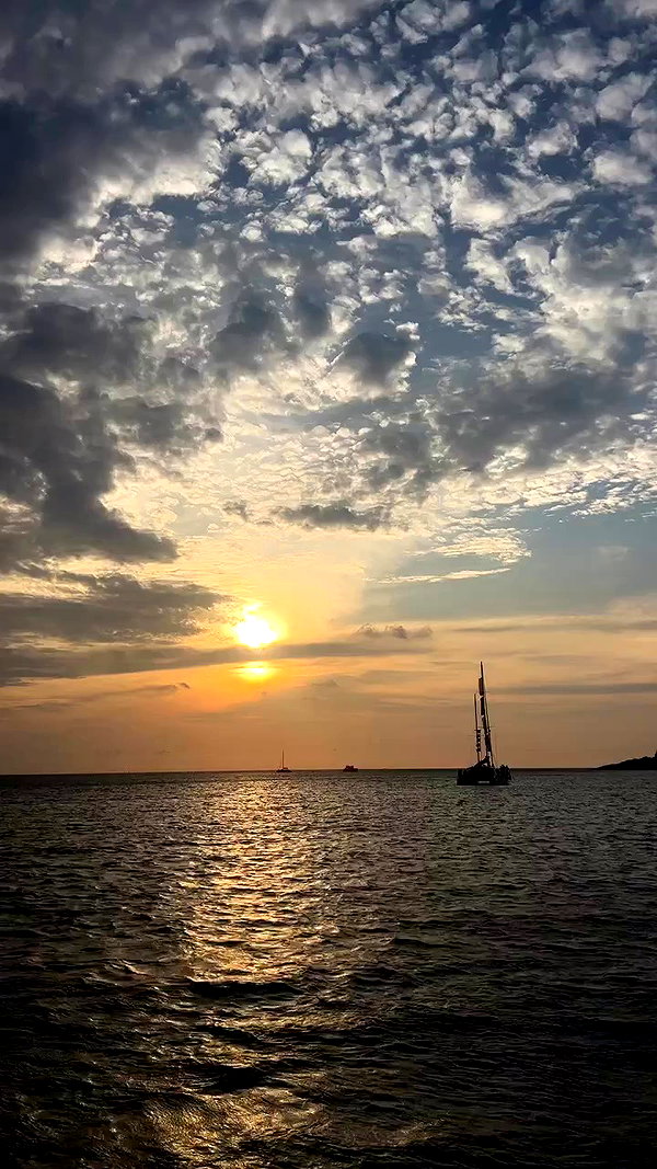 swfx_real archive video preview