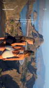 taylor.creeden Altpins Profile Picture