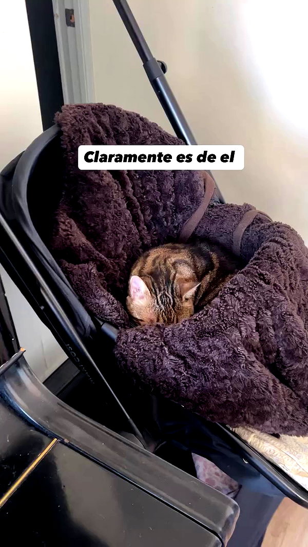 siemprelimpio.servicio archive video preview