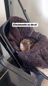 siemprelimpio.servicio Altpins Profile Picture
