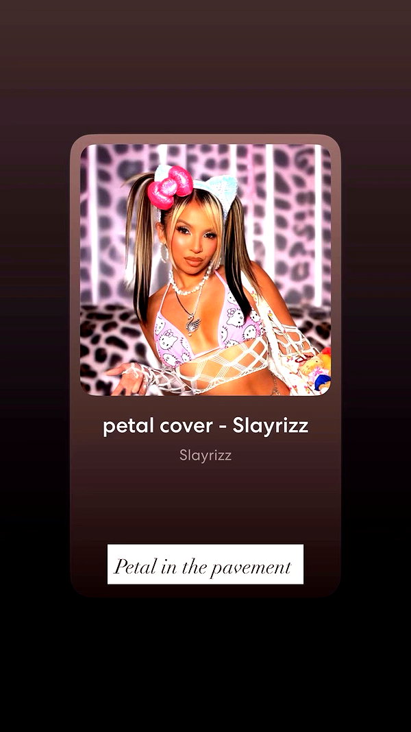 slayrizz archive video preview